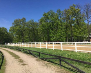 Конюшня с отелем в Киевской области